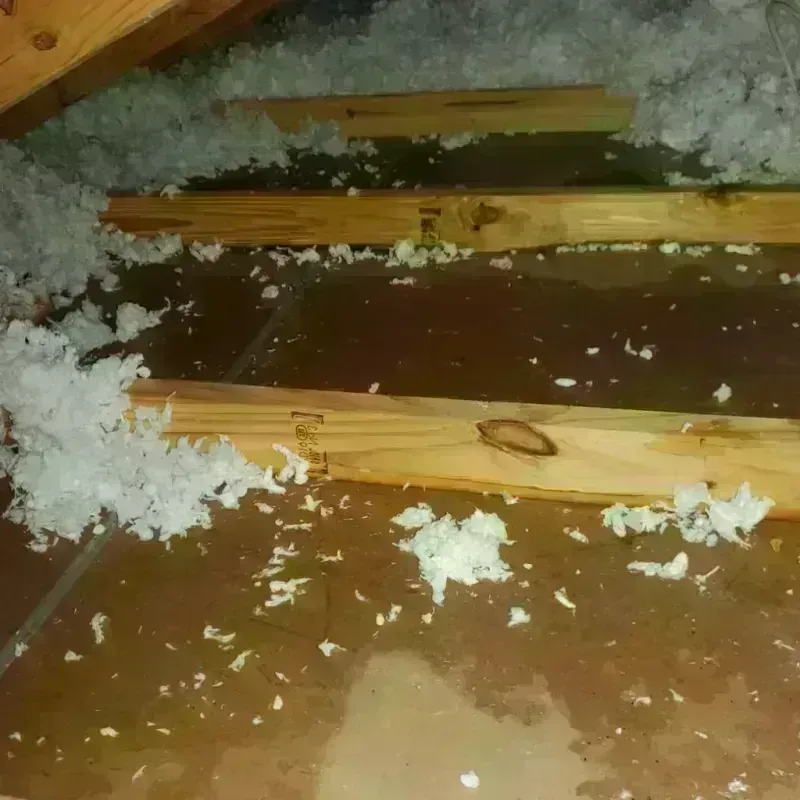 Attic Water Damage in Brandon, MS